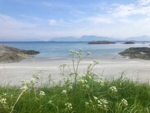 Sandøya