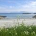 Sandøya